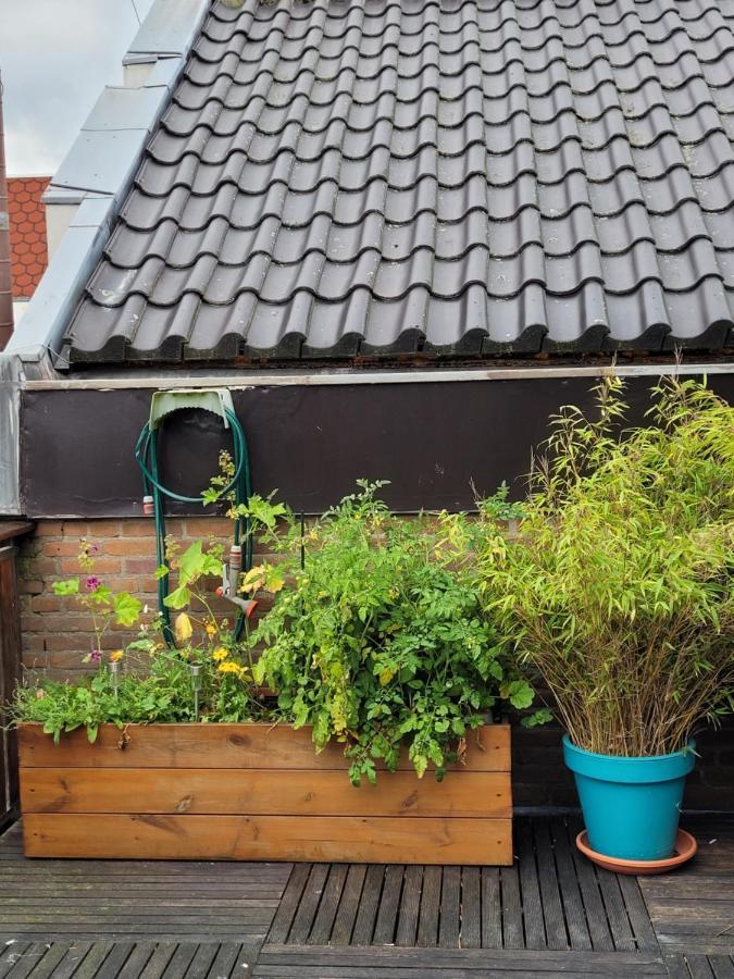 Apartament Aan De Kerkgracht Almere Zewnętrze zdjęcie